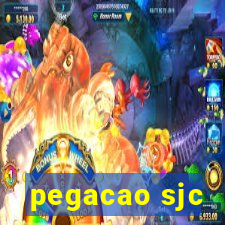 pegacao sjc